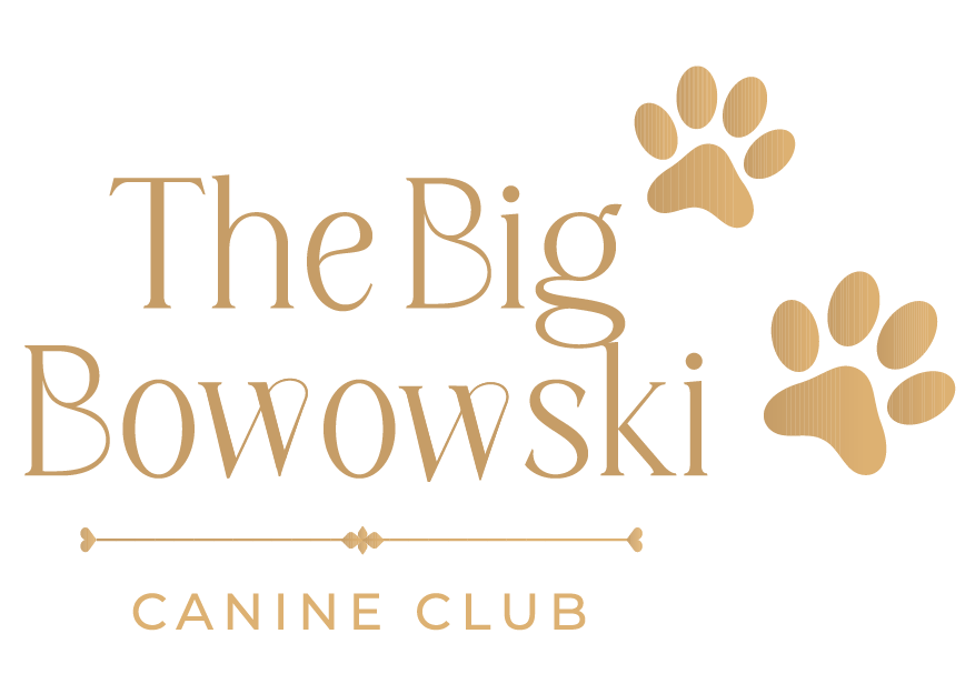 Dog walking dog sitting and dog accessories