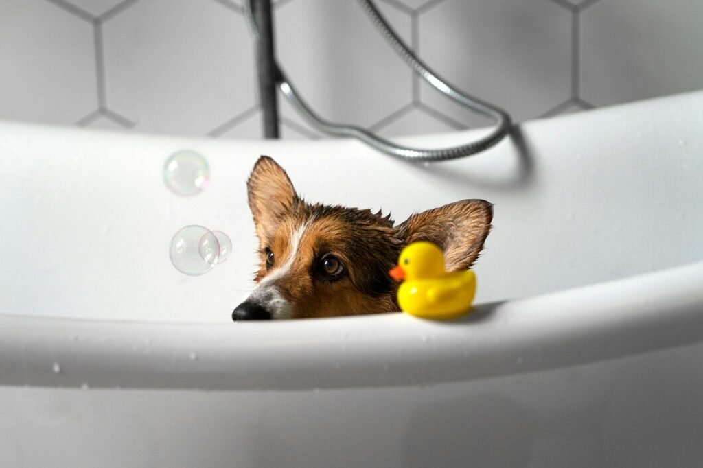 washing-pet-dog-home_23-2149627269